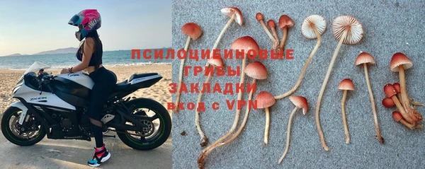 apvp Армянск