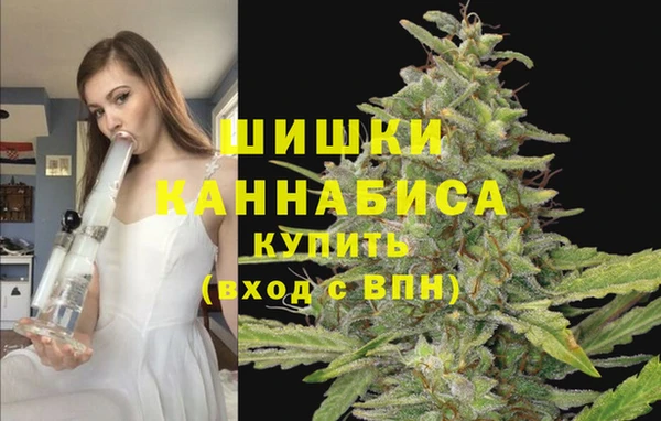 гидропоника Арсеньев