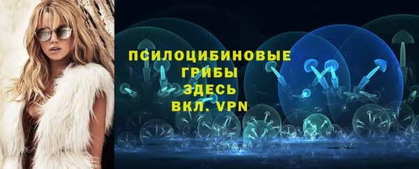 гидропоника Арсеньев
