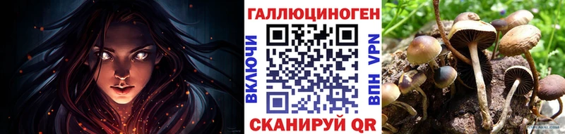 Галлюциногенные грибы Psilocybe  Инта 